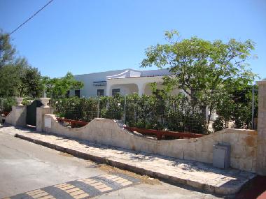 Villa in OSTUNI (Brindisi) or holiday homes and vacation rentals