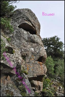 Tours to local archeological sites available