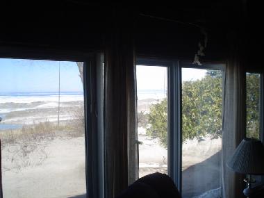 View from Living room window