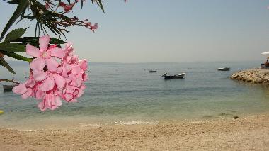 Holiday Apartment in Podstrana (Splitsko-Dalmatinska) or holiday homes and vacation rentals