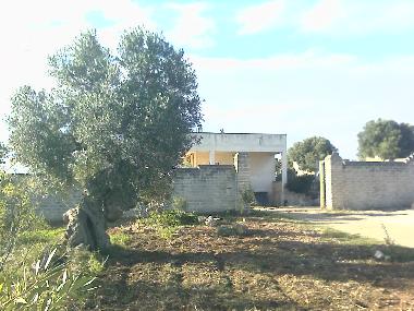 entrance - GPS coordinates: N 40.87612 E 17.37079