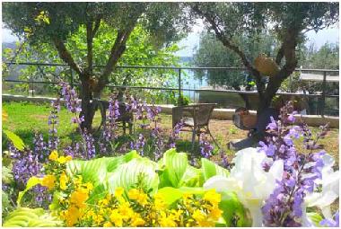 Holiday House in Marina di Camerota (Salerno) or holiday homes and vacation rentals