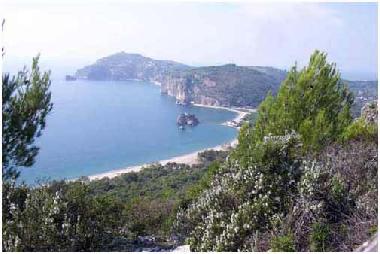 Holiday House in Marina di Camerota (Salerno) or holiday homes and vacation rentals