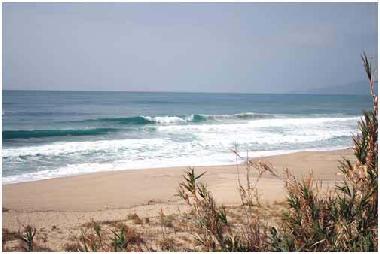 Holiday House in Marina di Camerota (Salerno) or holiday homes and vacation rentals
