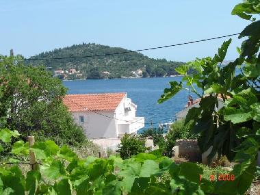 Holiday House in Kali auf der Insel Ugljan (Zadarska) or holiday homes and vacation rentals