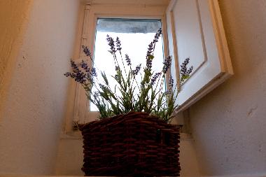 small window