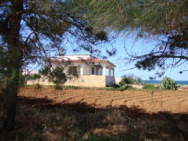 Villa in OSTUNI (Brindisi) or holiday homes and vacation rentals