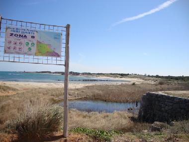 Oasi di Torre Guaceto