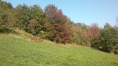 Private field next to house