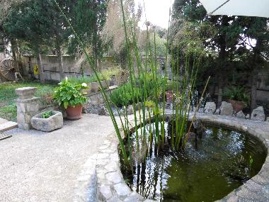 Holiday Apartment in Costix (Mallorca) or holiday homes and vacation rentals