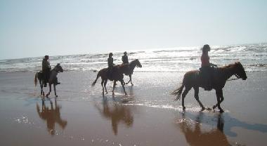 Holiday Apartment in Agadir (Agadir) or holiday homes and vacation rentals