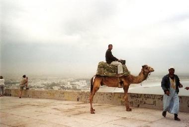 Holiday Apartment in Agadir (Agadir) or holiday homes and vacation rentals