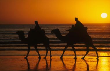 Holiday Apartment in Agadir (Agadir) or holiday homes and vacation rentals