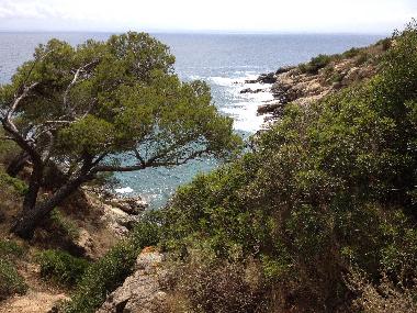 Holiday Apartment in rosas (Girona) or holiday homes and vacation rentals