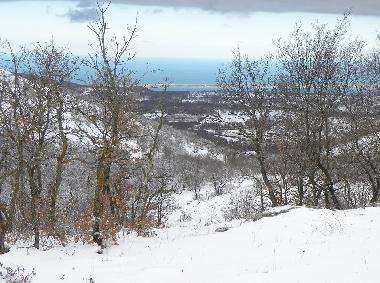 Bed and Breakfast in San Marco in Lamis (Foggia) or holiday homes and vacation rentals