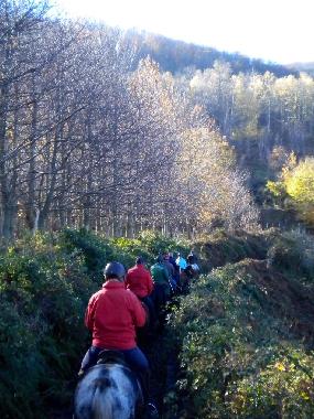 Bed and Breakfast in San Marco in Lamis (Foggia) or holiday homes and vacation rentals