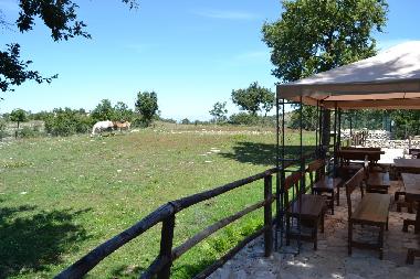 Bed and Breakfast in San Marco in Lamis (Foggia) or holiday homes and vacation rentals