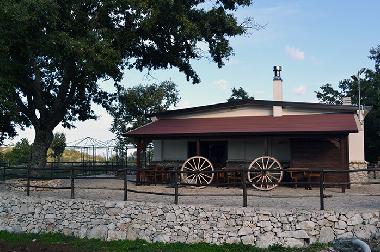 Bed and Breakfast in San Marco in Lamis (Foggia) or holiday homes and vacation rentals