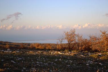 Bed and Breakfast in San Marco in Lamis (Foggia) or holiday homes and vacation rentals