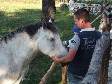 Bed and Breakfast in San Marco in Lamis (Foggia) or holiday homes and vacation rentals