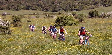 Bed and Breakfast in San Marco in Lamis (Foggia) or holiday homes and vacation rentals