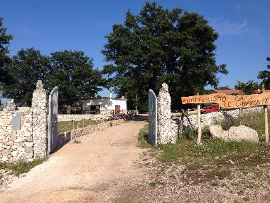 Bed and Breakfast in San Marco in Lamis (Foggia) or holiday homes and vacation rentals