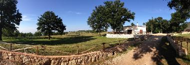 Bed and Breakfast in San Marco in Lamis (Foggia) or holiday homes and vacation rentals