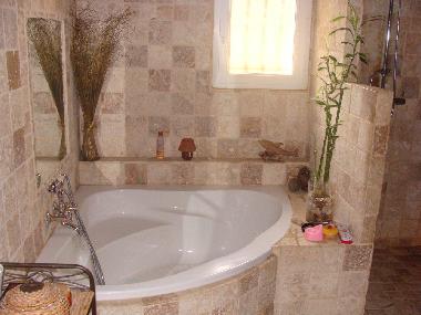 Villa in sainte Anastasie sur Issole (Var) or holiday homes and vacation rentals