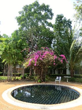 Holiday House in Mae Phim (Rayong) or holiday homes and vacation rentals