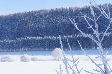 Holiday House in Jivka - Janovice (Kralovehradecky Kraj) or holiday homes and vacation rentals