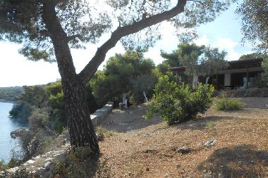 Villa in Kneta (Attiki) or holiday homes and vacation rentals