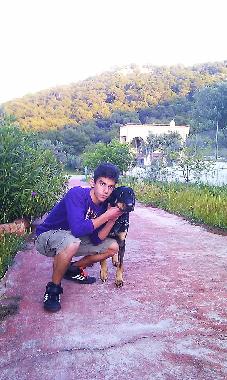 Holiday House in AGIOI (Attiki) or holiday homes and vacation rentals