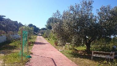 Holiday House in AGIOI (Attiki) or holiday homes and vacation rentals