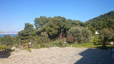 Holiday House in AGIOI (Attiki) or holiday homes and vacation rentals