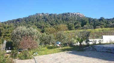 Holiday House in AGIOI (Attiki) or holiday homes and vacation rentals