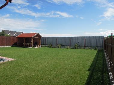 The garden