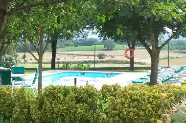 Villa in Riudarenes (Girona) or holiday homes and vacation rentals