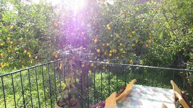 Holiday Apartment in Pelion (Magnisia) or holiday homes and vacation rentals