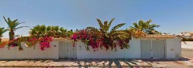 Villa in Torrevieja (Alicante / Alacant) or holiday homes and vacation rentals