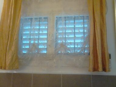 The east window in the living room.