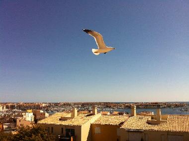 Holiday Apartment in cap d'agde (H�rault) or holiday homes and vacation rentals