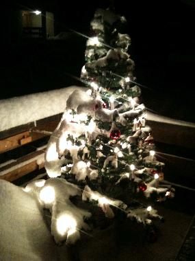 Holiday Apartment in Waltensburg (Brigels, W