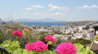 Holiday Apartment in Bodrum (Mugla) or holiday homes and vacation rentals