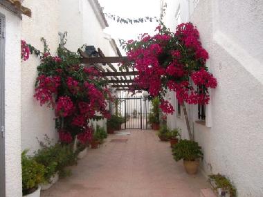 Holiday Apartment in Torrevieja (Murcia) or holiday homes and vacation rentals