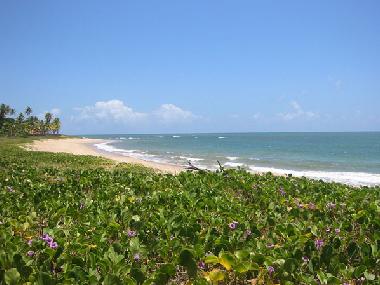 Holiday House in Cama�ari (Bahia) or holiday homes and vacation rentals