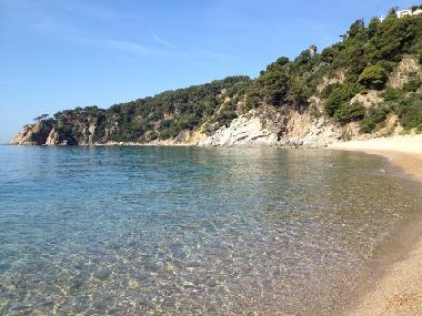 Holiday Apartment in tossa de mar (Girona) or holiday homes and vacation rentals