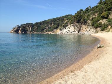 Holiday Apartment in tossa de mar (Girona) or holiday homes and vacation rentals