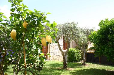 Holiday House in Palau (Olbia-Tempio) or holiday homes and vacation rentals