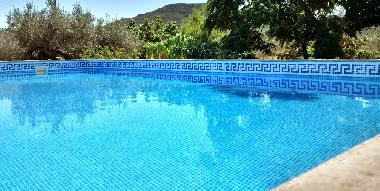 Villa in Amposta (Tarragona) or holiday homes and vacation rentals