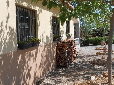 Villa in Amposta (Tarragona) or holiday homes and vacation rentals